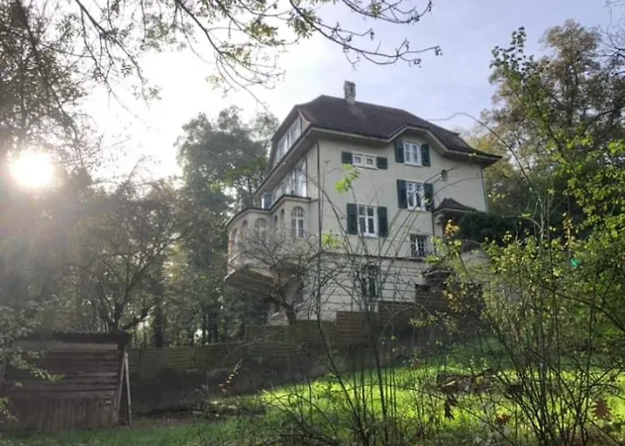 4 Story, 12 Beds, Home Near Eurovision Contest
